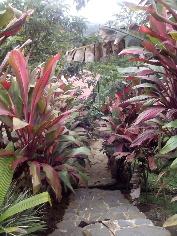 Green Mountain And Lodge Turrialba Luaran gambar
