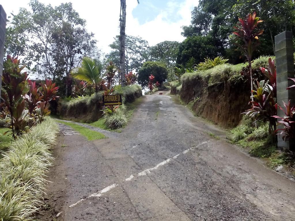 Green Mountain And Lodge Turrialba Bilik gambar