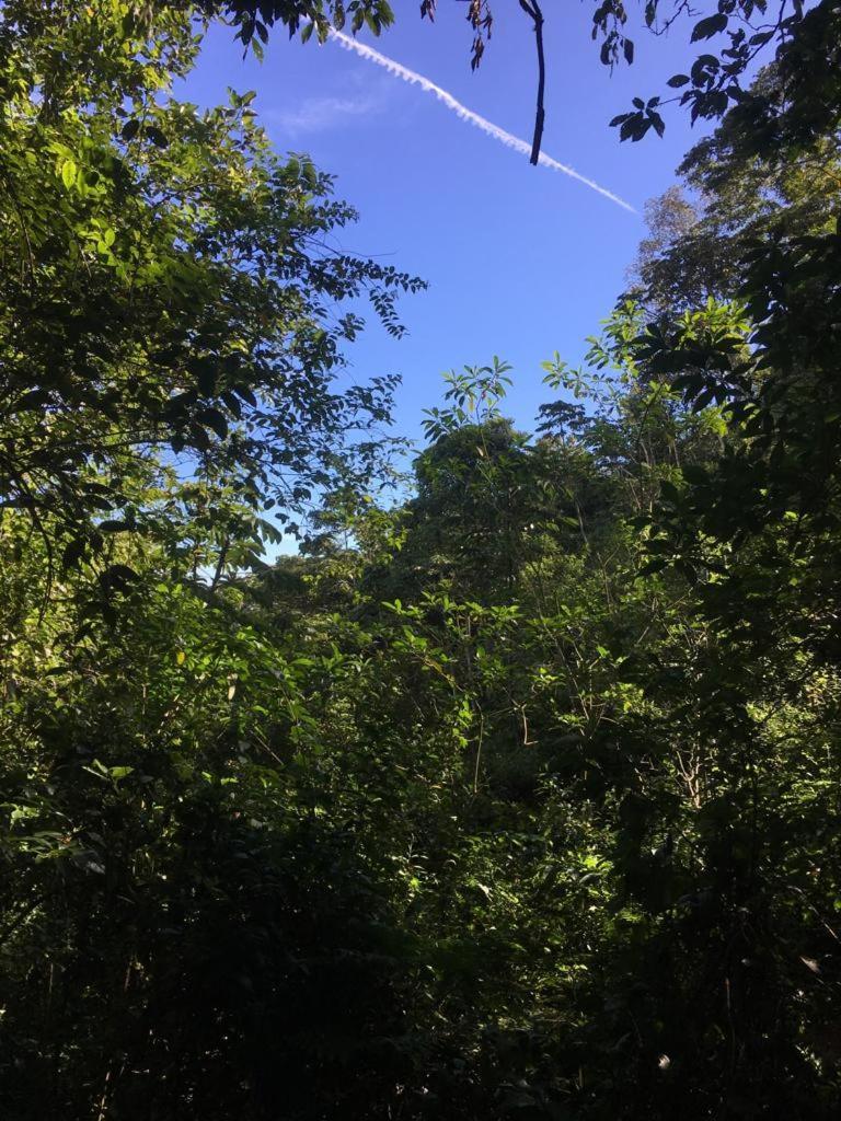 Green Mountain And Lodge Turrialba Luaran gambar