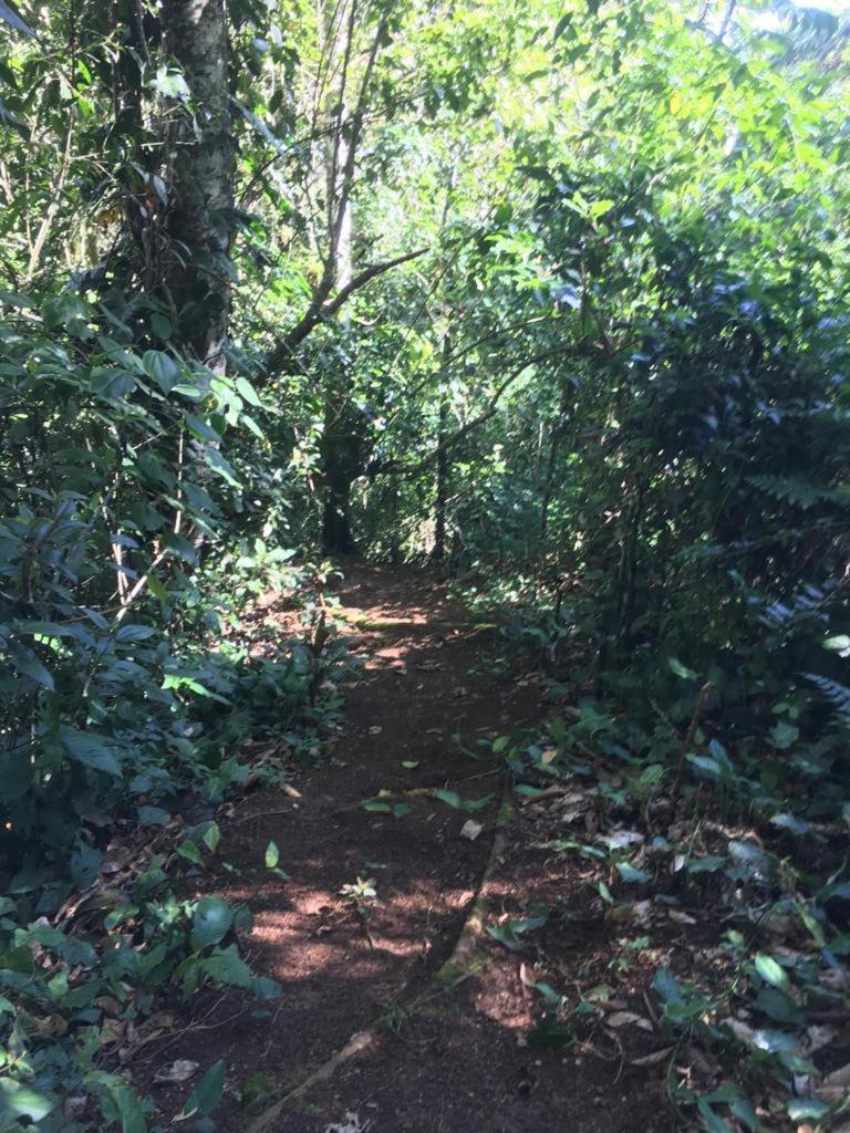 Green Mountain And Lodge Turrialba Luaran gambar