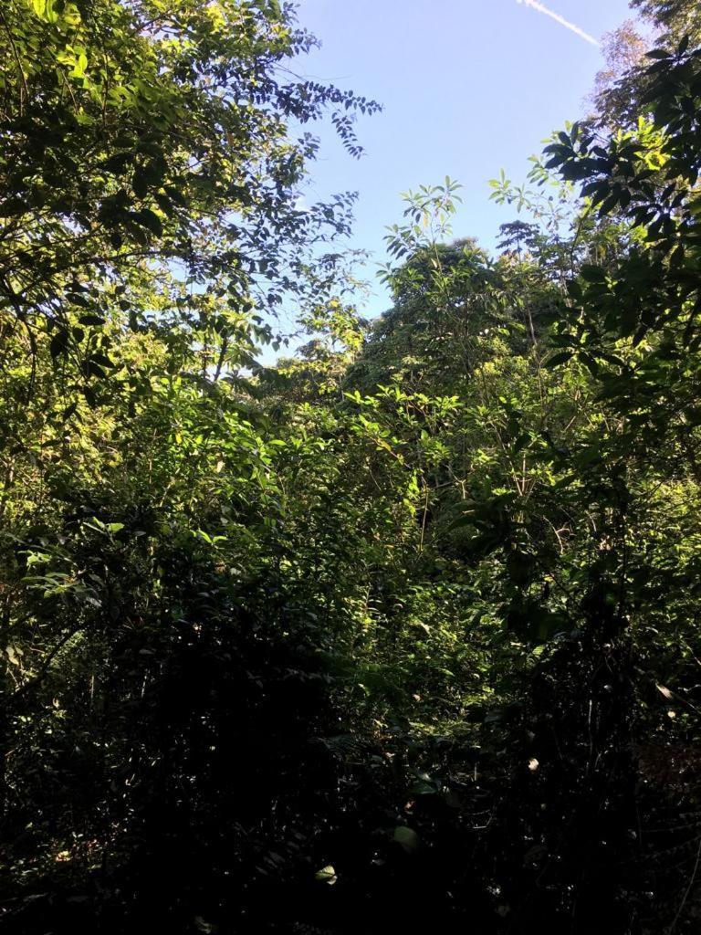 Green Mountain And Lodge Turrialba Luaran gambar