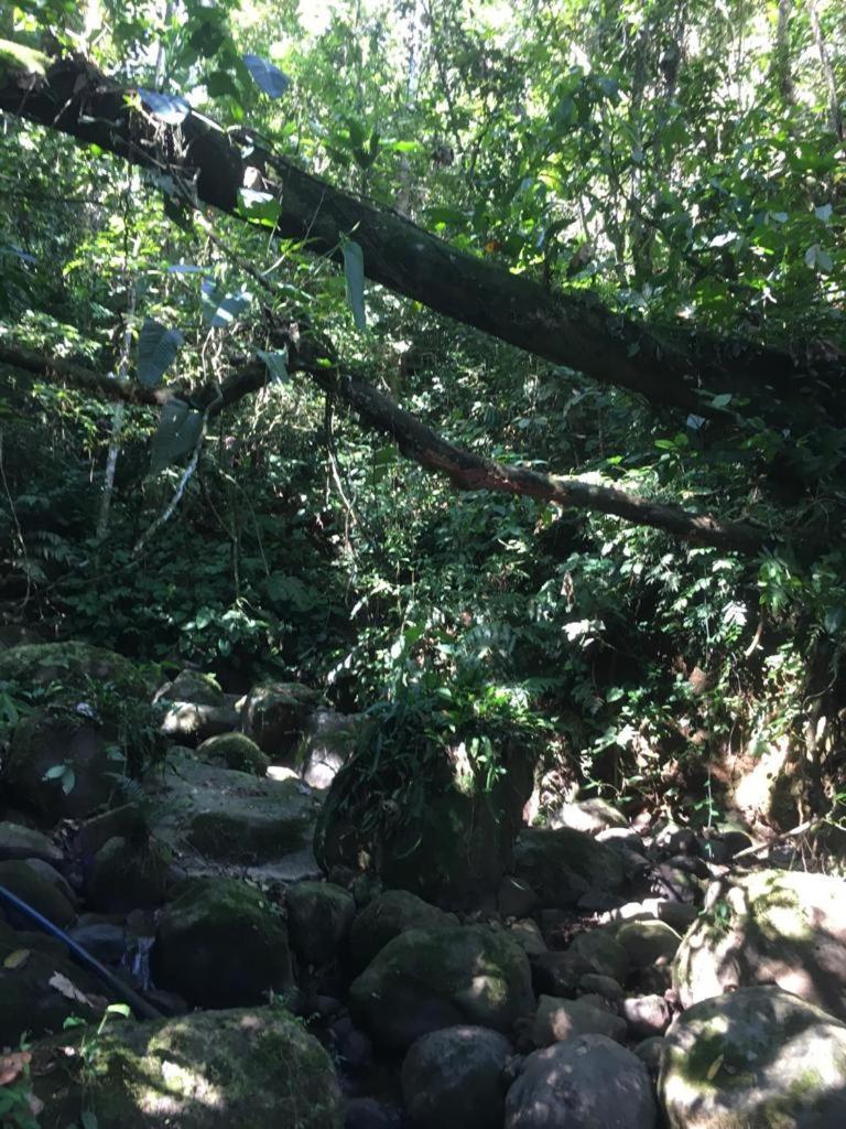 Green Mountain And Lodge Turrialba Luaran gambar