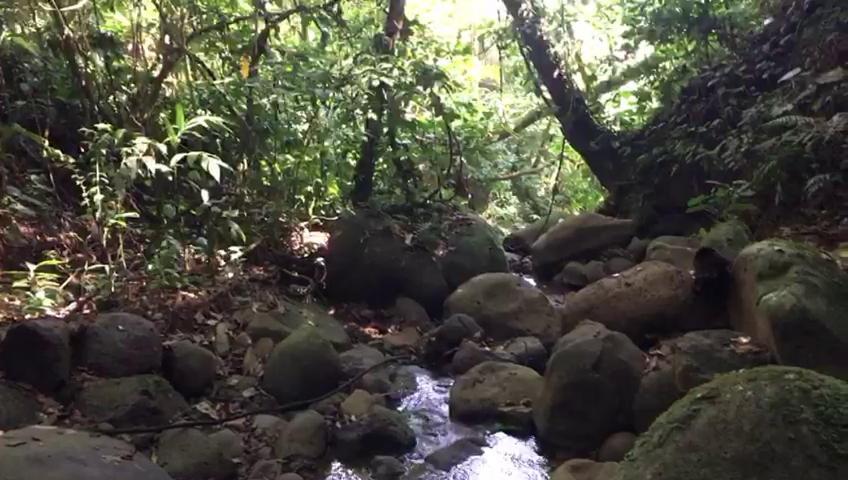 Green Mountain And Lodge Turrialba Luaran gambar